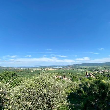 Locazione Turistica Ex Le Casette Di Cedromonte 帕尼卡莱 外观 照片
