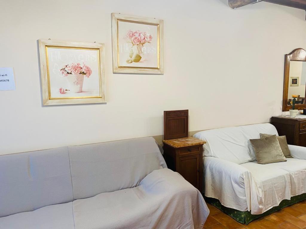 Locazione Turistica Ex Le Casette Di Cedromonte 帕尼卡莱 外观 照片