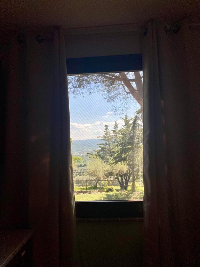 Locazione Turistica Ex Le Casette Di Cedromonte 帕尼卡莱 外观 照片