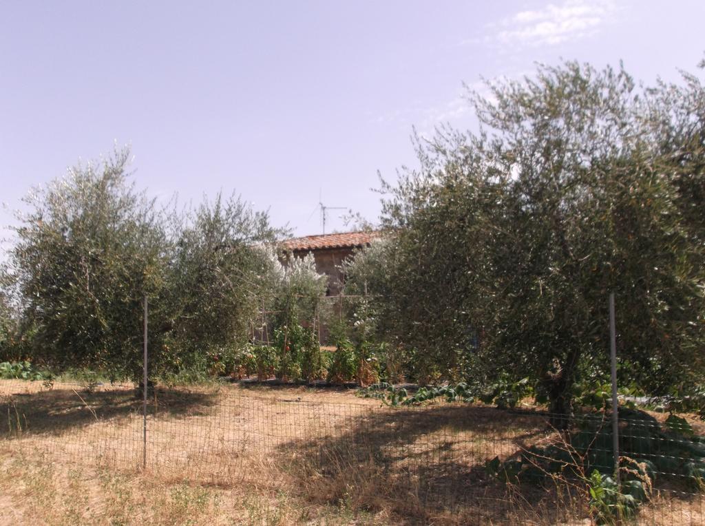 Locazione Turistica Ex Le Casette Di Cedromonte 帕尼卡莱 外观 照片