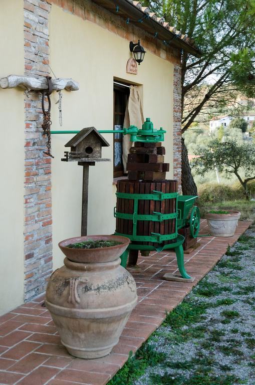 Locazione Turistica Ex Le Casette Di Cedromonte 帕尼卡莱 客房 照片