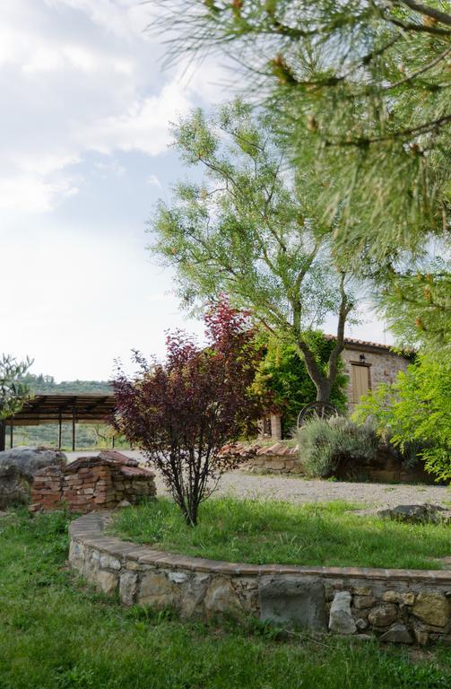 Locazione Turistica Ex Le Casette Di Cedromonte 帕尼卡莱 外观 照片